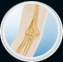 Normal Anatomy of the Elbow